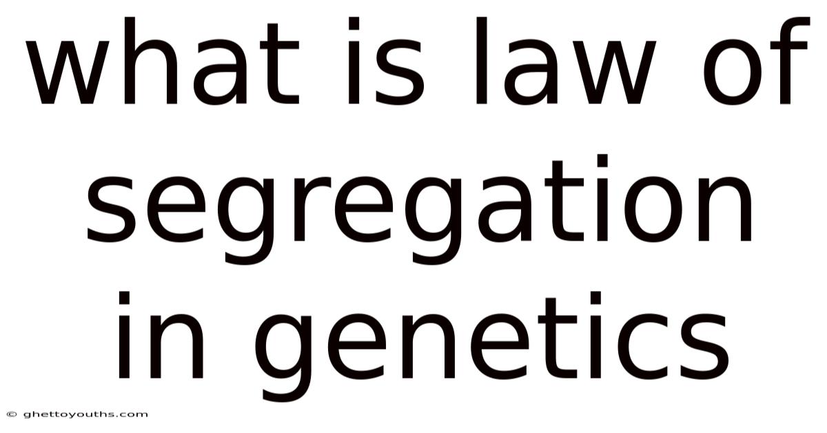 What Is Law Of Segregation In Genetics