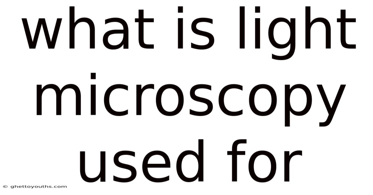 What Is Light Microscopy Used For