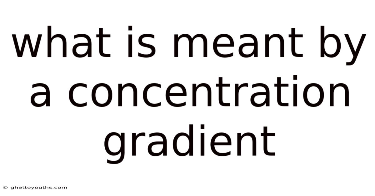 What Is Meant By A Concentration Gradient