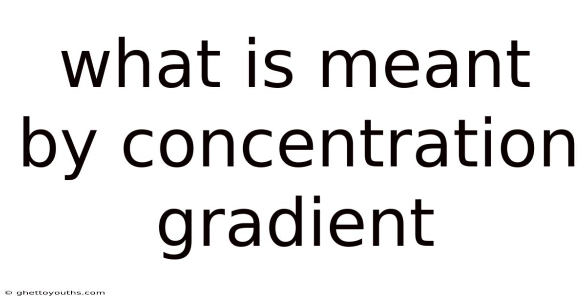 What Is Meant By Concentration Gradient