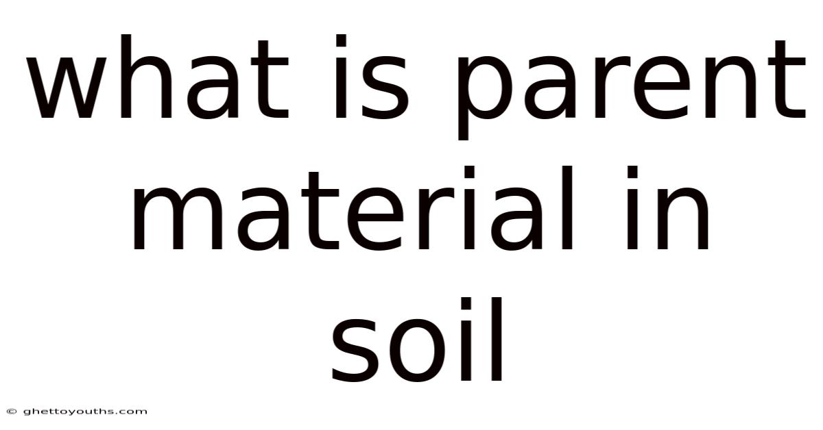 What Is Parent Material In Soil