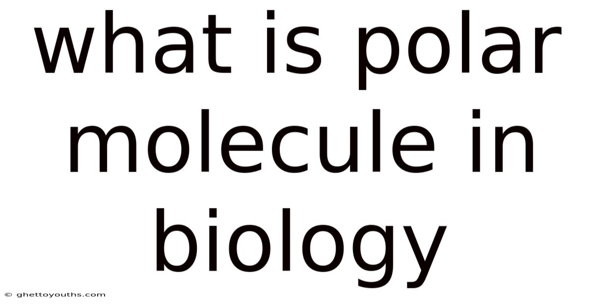 What Is Polar Molecule In Biology