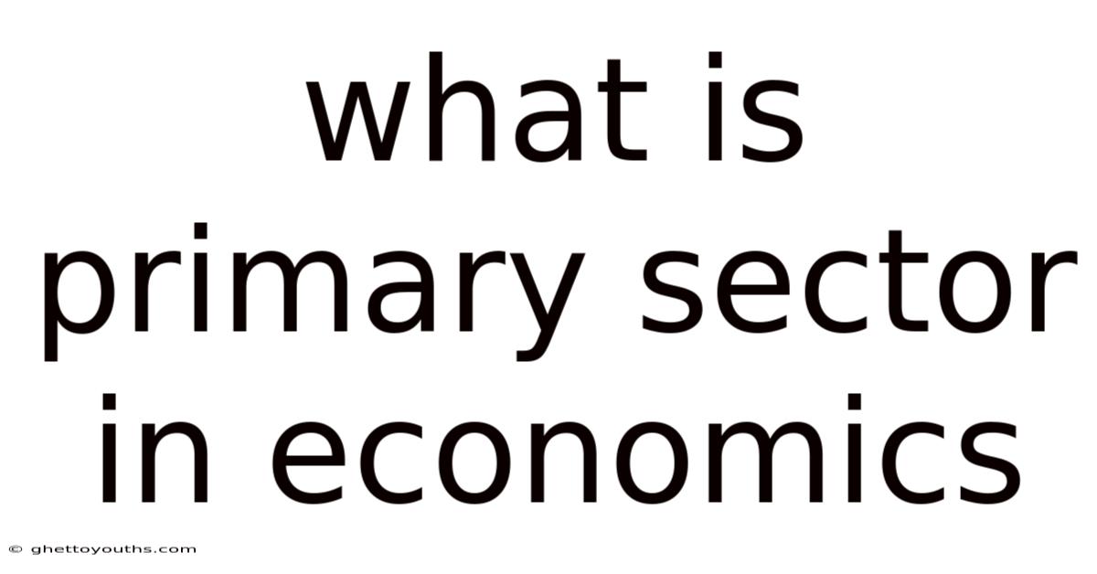 What Is Primary Sector In Economics