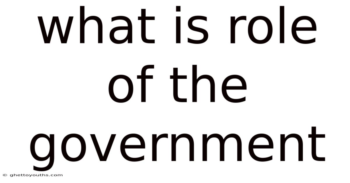 What Is Role Of The Government