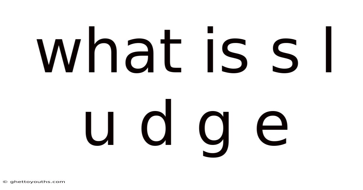 What Is S L U D G E