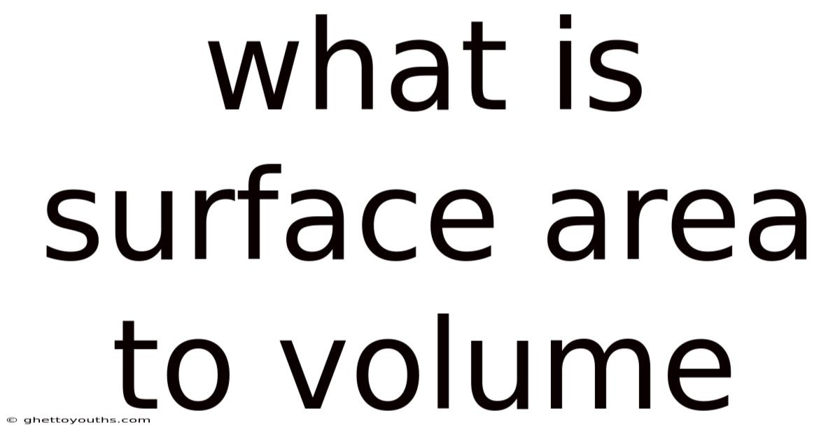 What Is Surface Area To Volume