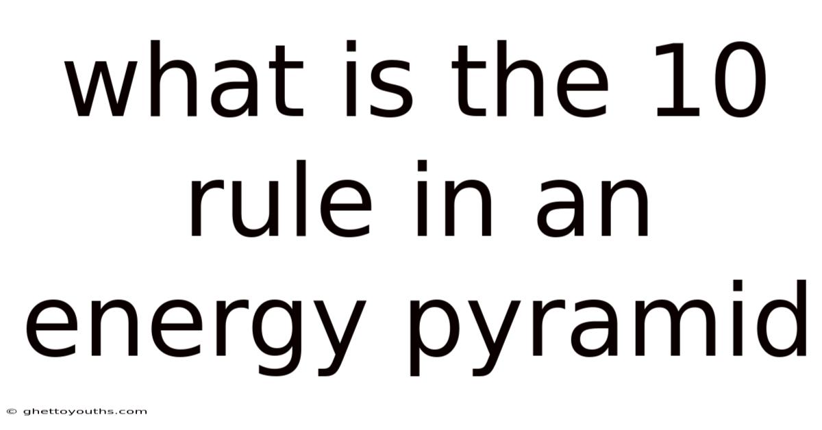 What Is The 10 Rule In An Energy Pyramid