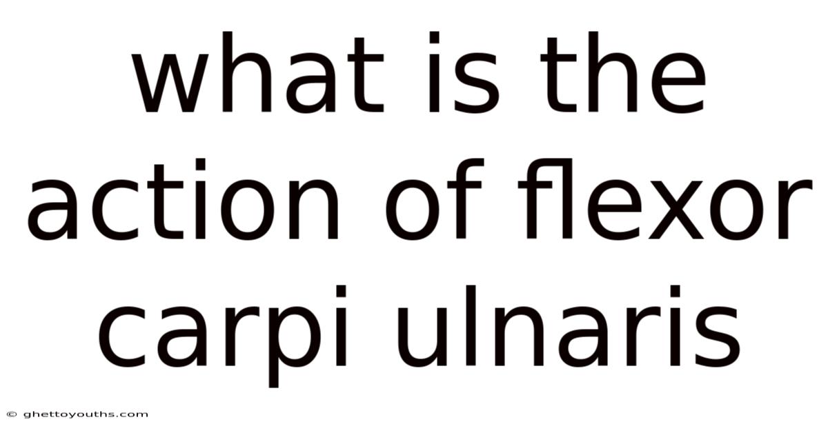 What Is The Action Of Flexor Carpi Ulnaris