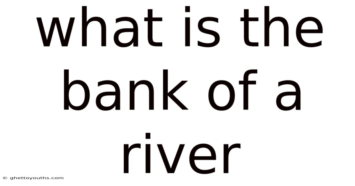 What Is The Bank Of A River