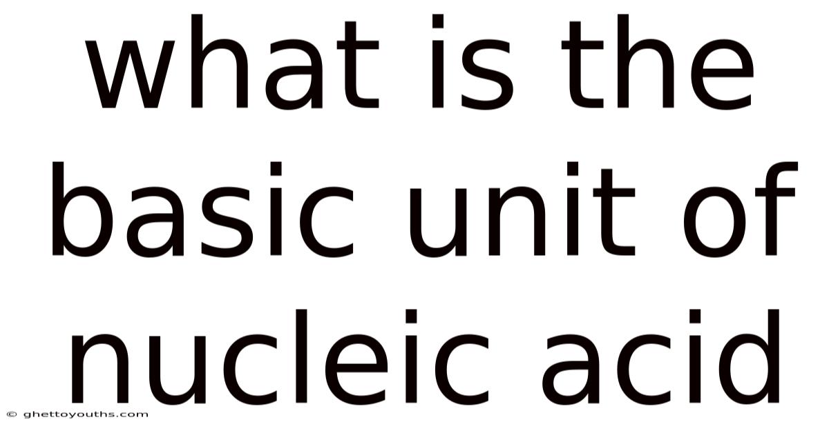 What Is The Basic Unit Of Nucleic Acid