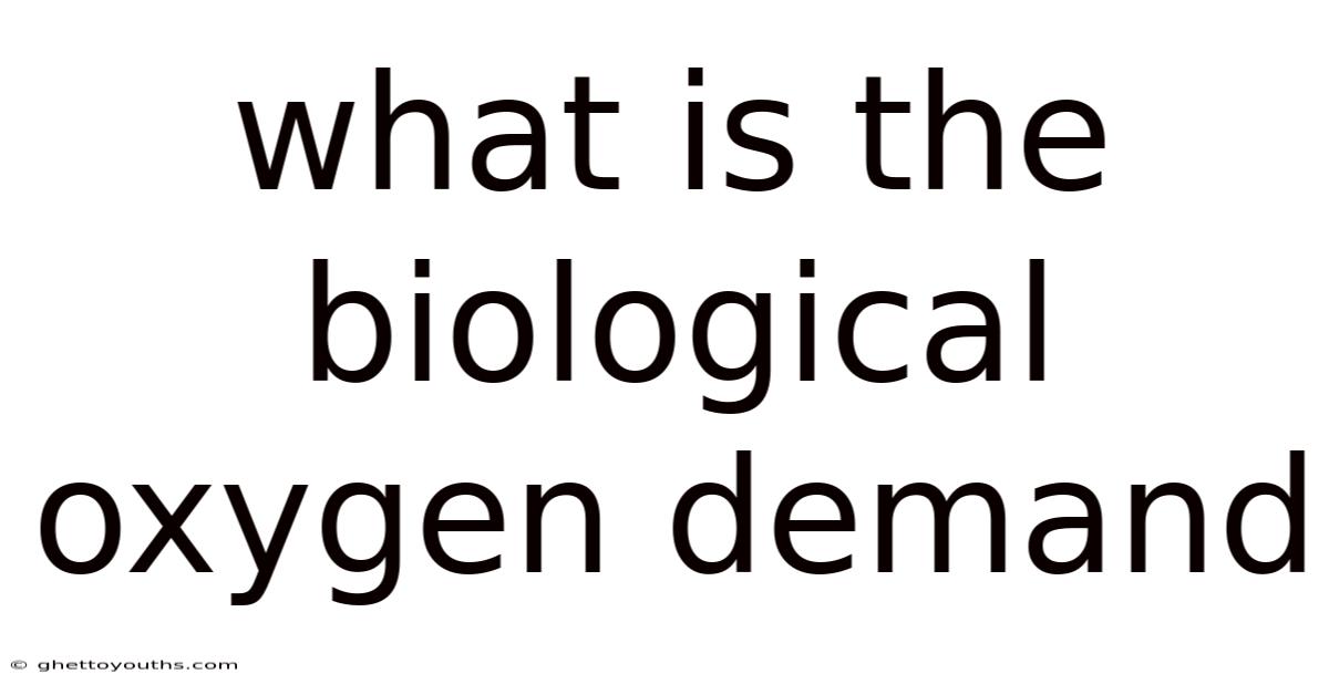 What Is The Biological Oxygen Demand