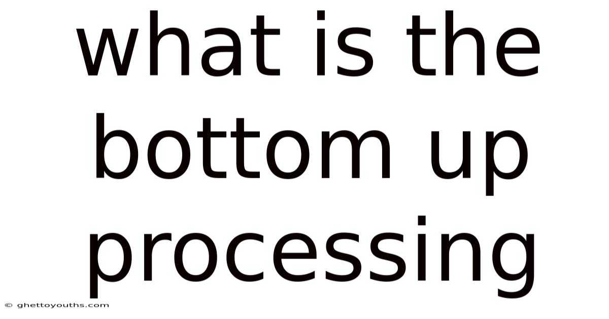 What Is The Bottom Up Processing