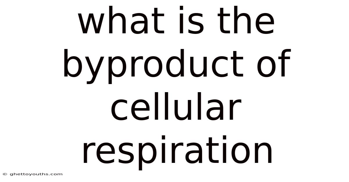 What Is The Byproduct Of Cellular Respiration