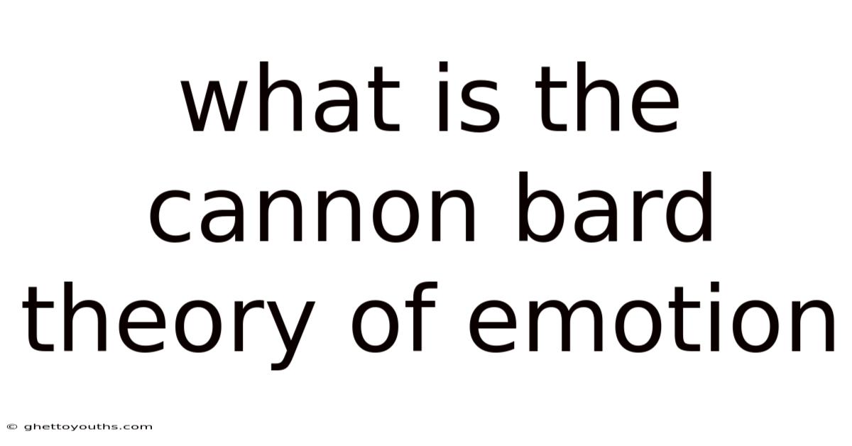 What Is The Cannon Bard Theory Of Emotion
