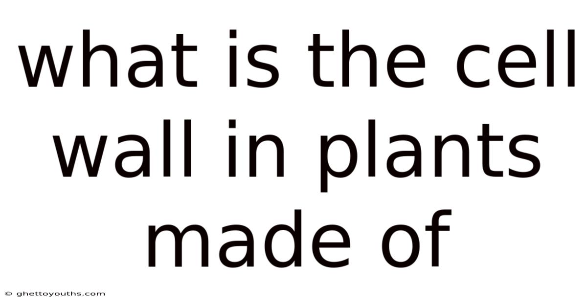 What Is The Cell Wall In Plants Made Of