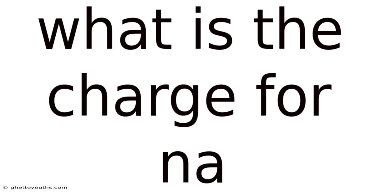 What Is The Charge For Na