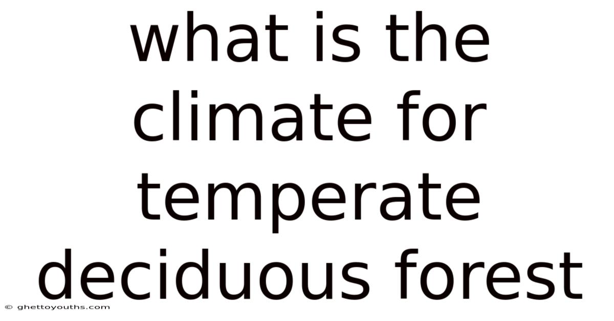 What Is The Climate For Temperate Deciduous Forest
