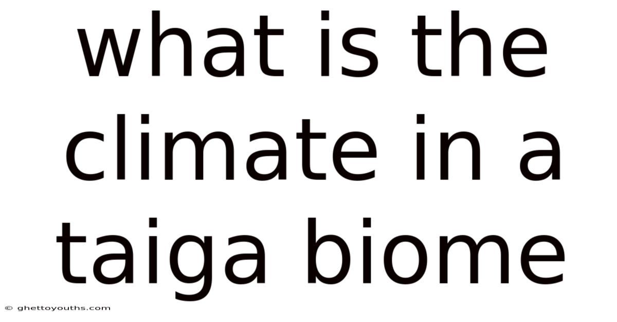 What Is The Climate In A Taiga Biome