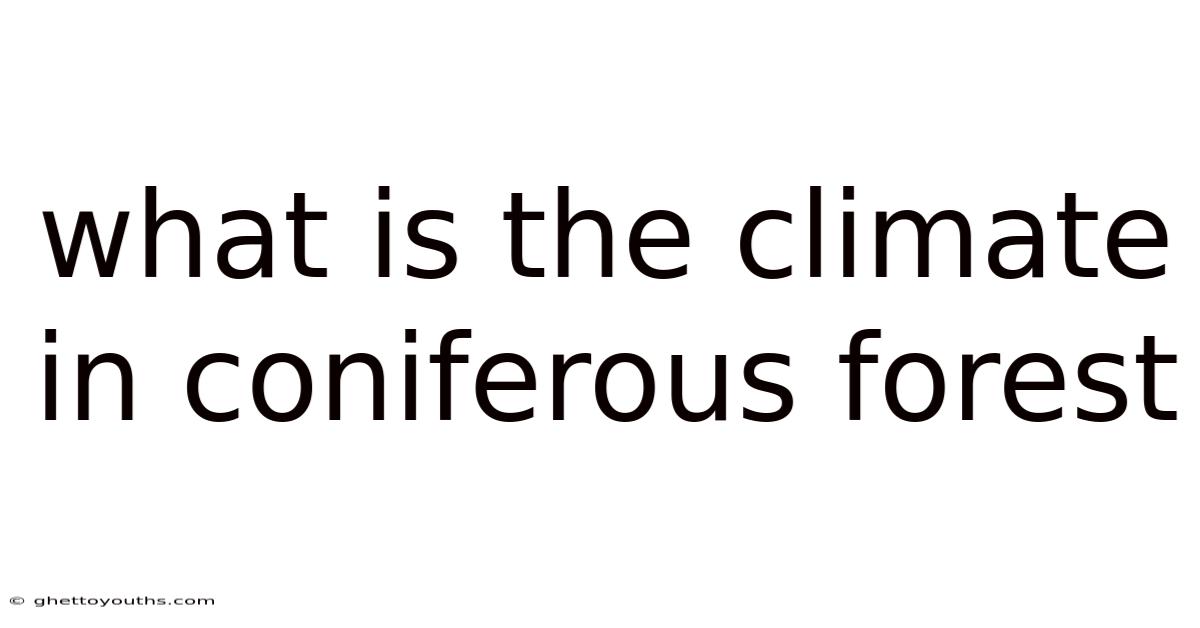 What Is The Climate In Coniferous Forest