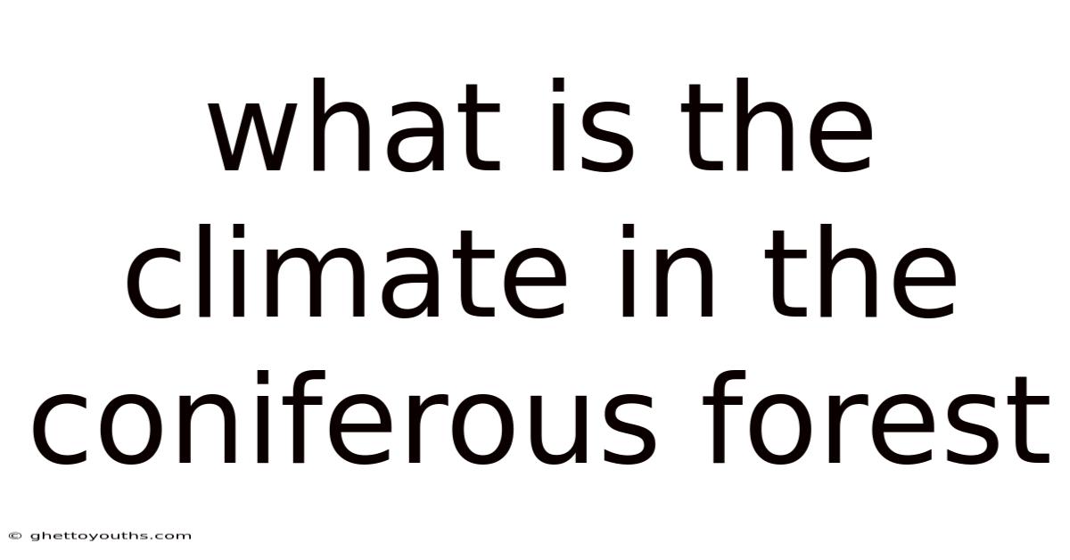 What Is The Climate In The Coniferous Forest