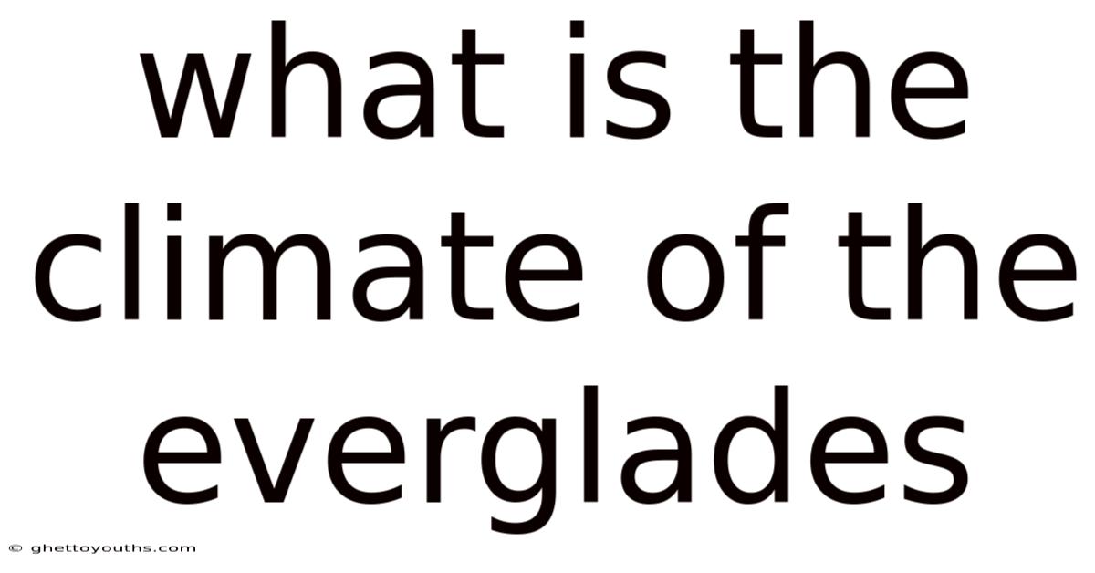 What Is The Climate Of The Everglades