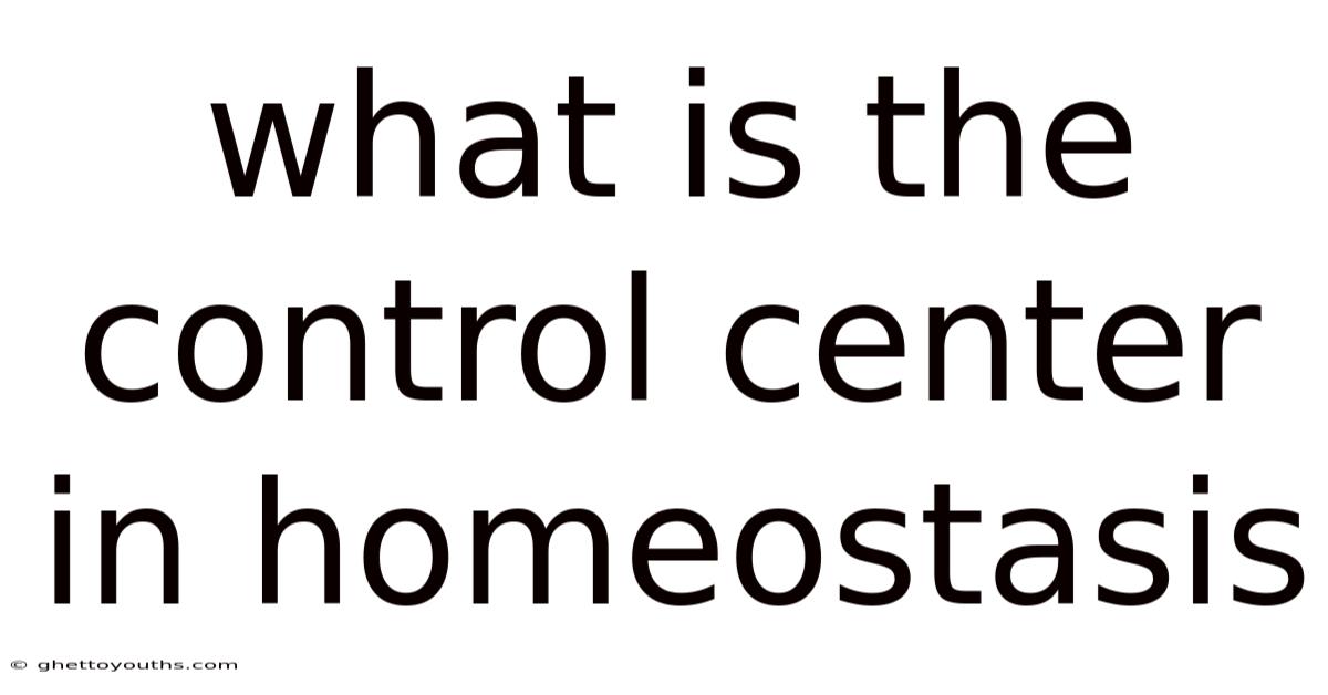 What Is The Control Center In Homeostasis