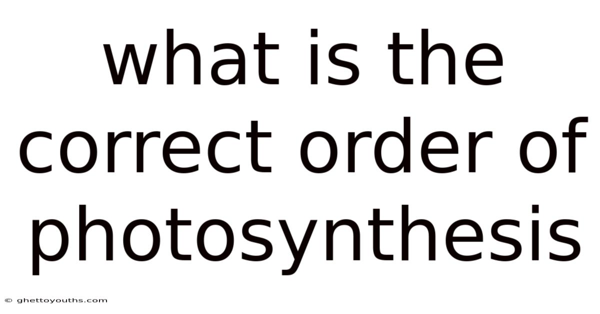 What Is The Correct Order Of Photosynthesis