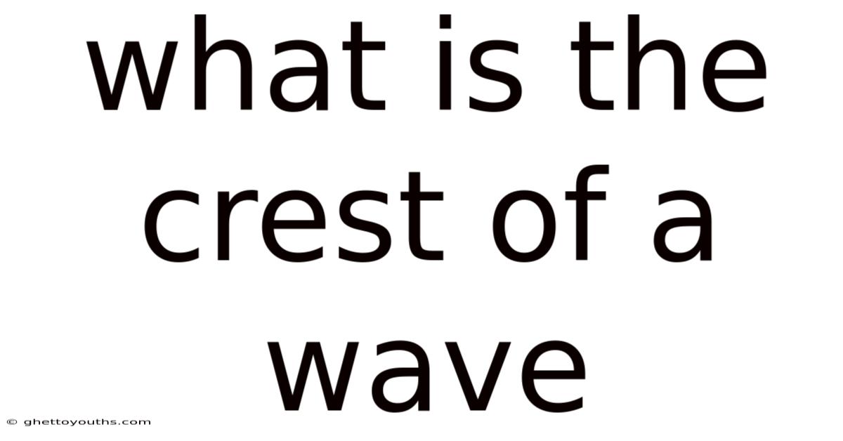 What Is The Crest Of A Wave