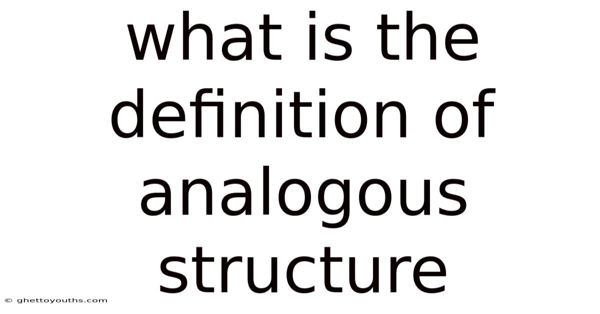 What Is The Definition Of Analogous Structure