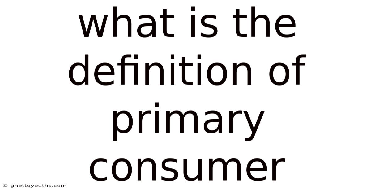 What Is The Definition Of Primary Consumer
