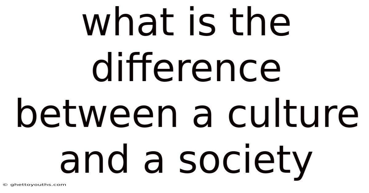 What Is The Difference Between A Culture And A Society