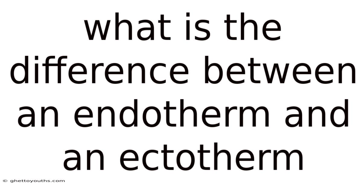 What Is The Difference Between An Endotherm And An Ectotherm