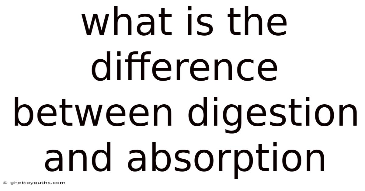 What Is The Difference Between Digestion And Absorption