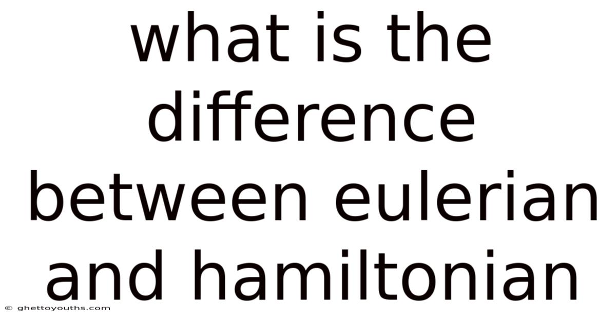 What Is The Difference Between Eulerian And Hamiltonian