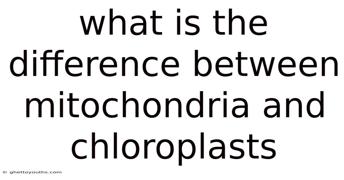 What Is The Difference Between Mitochondria And Chloroplasts