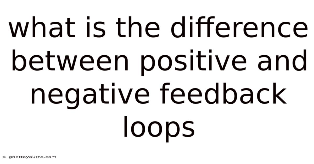What Is The Difference Between Positive And Negative Feedback Loops