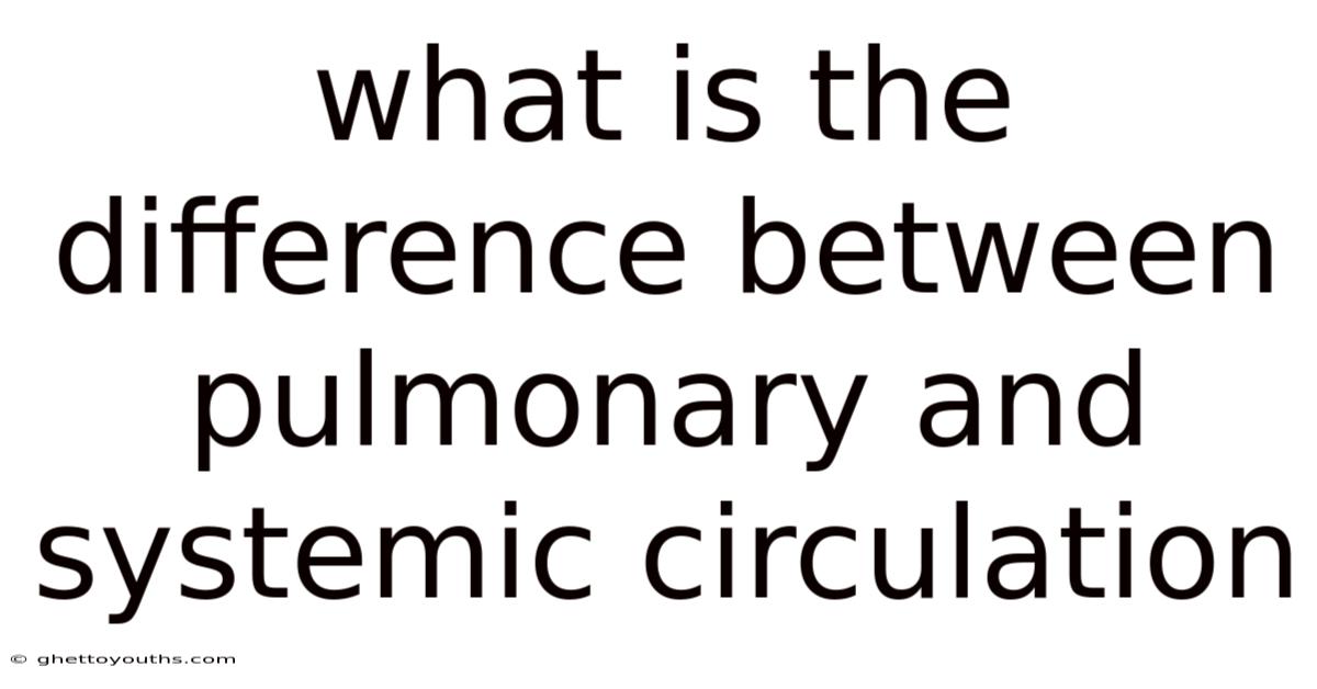 What Is The Difference Between Pulmonary And Systemic Circulation