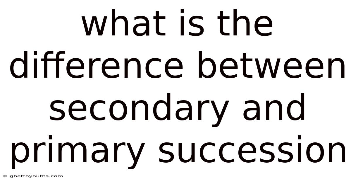 What Is The Difference Between Secondary And Primary Succession