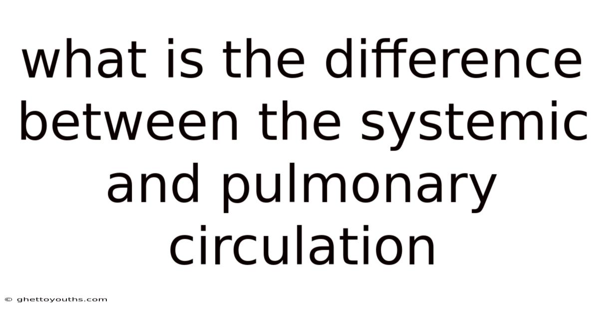 What Is The Difference Between The Systemic And Pulmonary Circulation