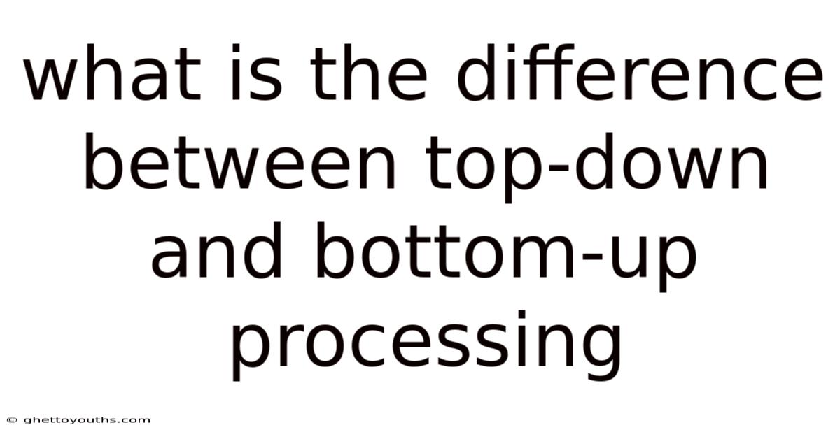 What Is The Difference Between Top-down And Bottom-up Processing