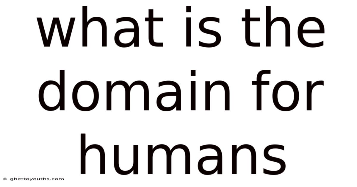 What Is The Domain For Humans