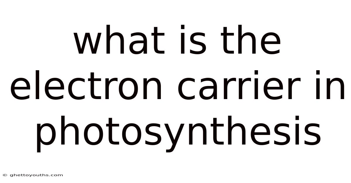 What Is The Electron Carrier In Photosynthesis