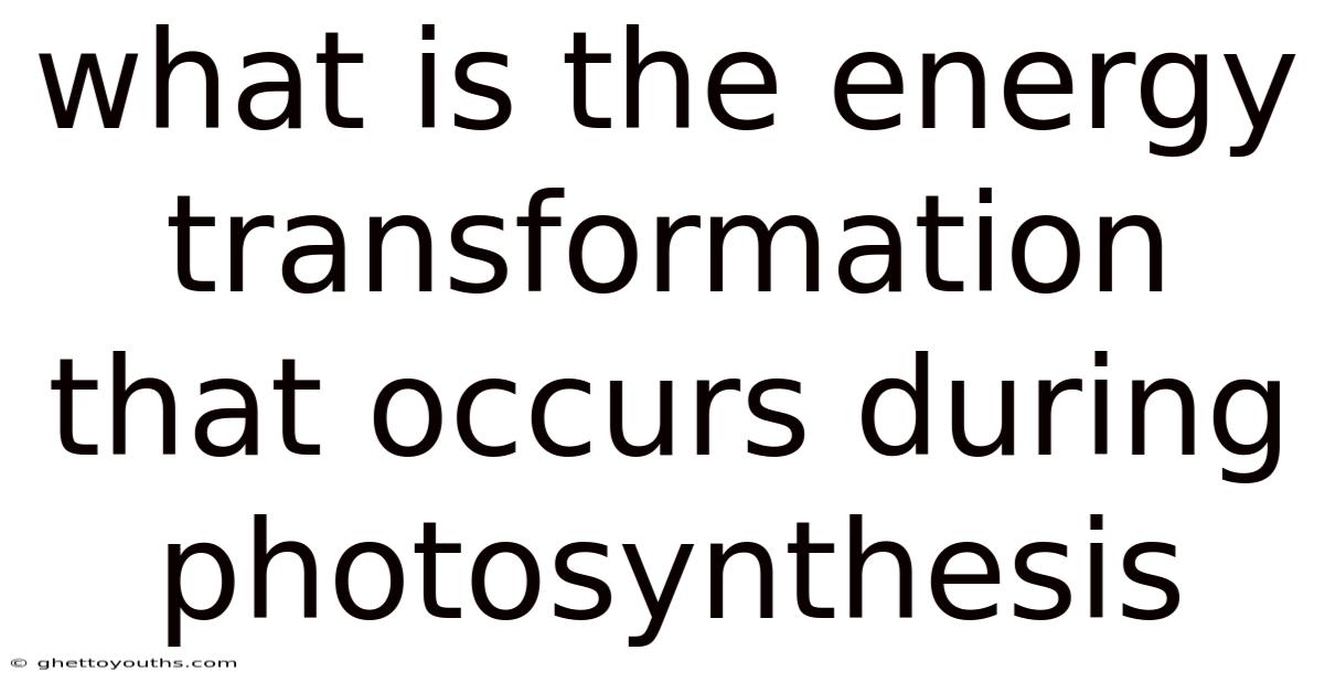 What Is The Energy Transformation That Occurs During Photosynthesis