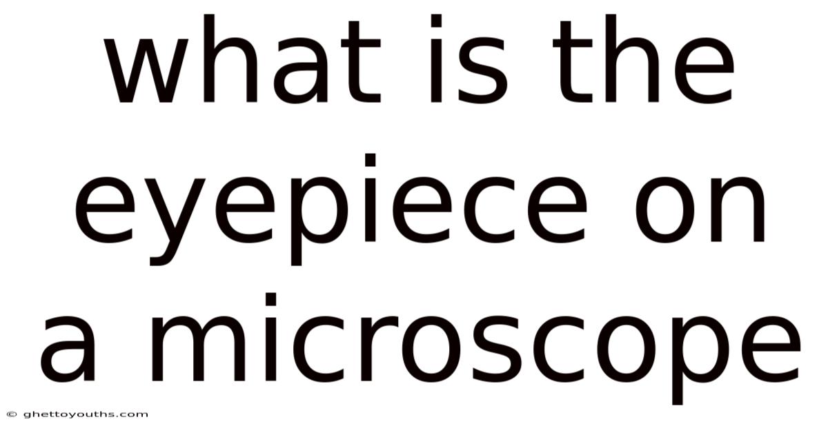 What Is The Eyepiece On A Microscope