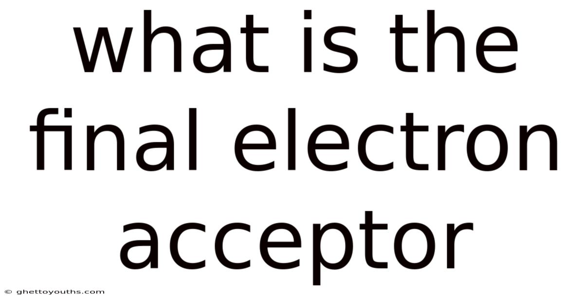 What Is The Final Electron Acceptor