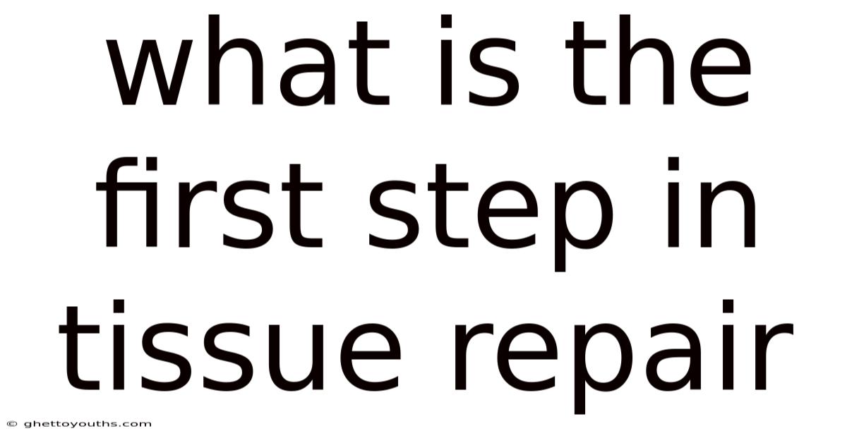What Is The First Step In Tissue Repair