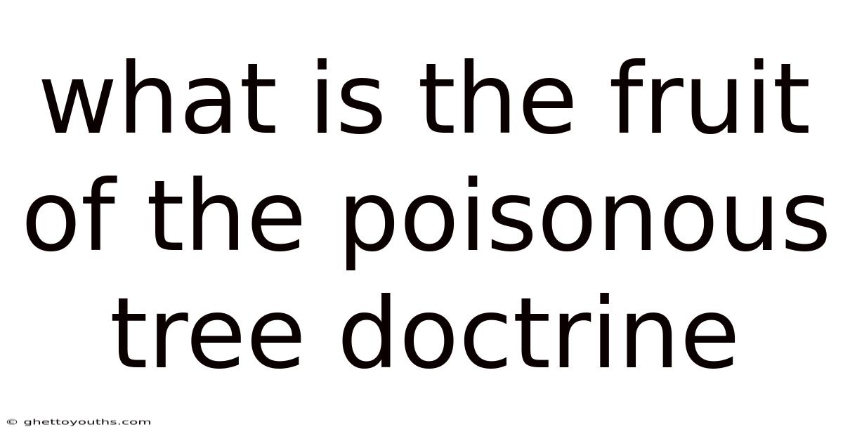 What Is The Fruit Of The Poisonous Tree Doctrine