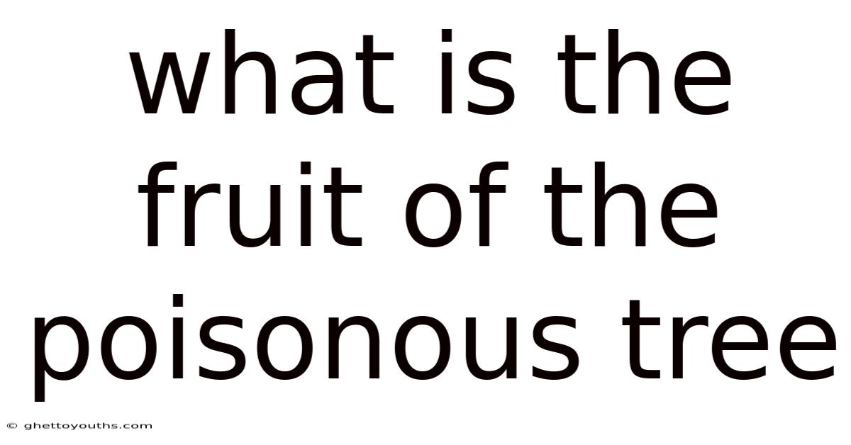 What Is The Fruit Of The Poisonous Tree