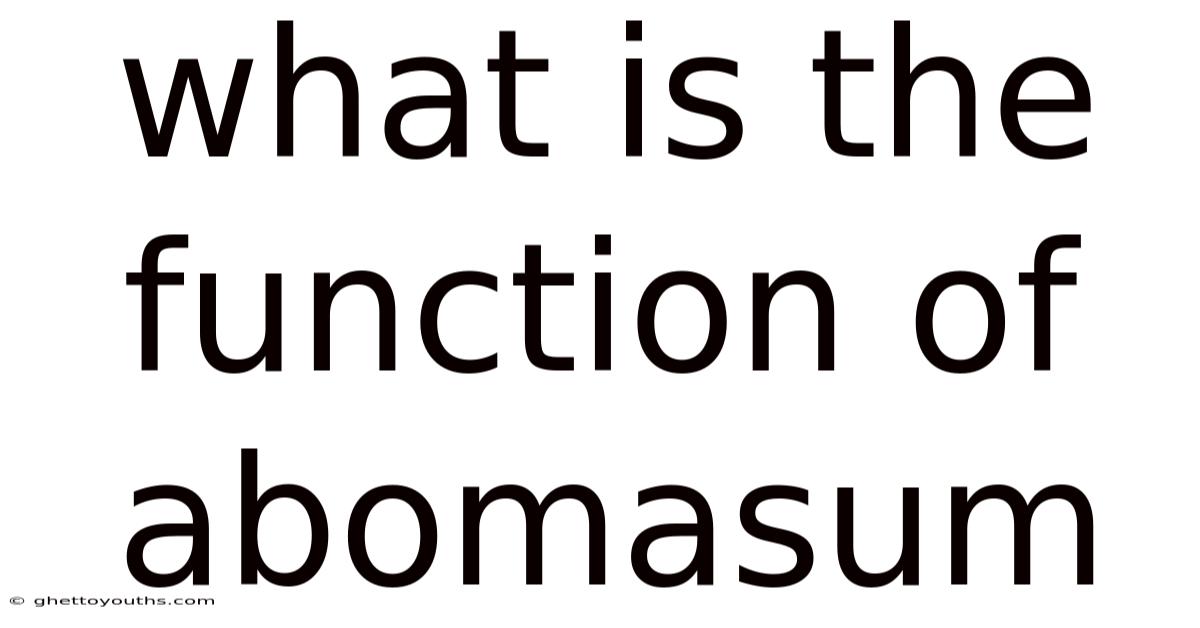 What Is The Function Of Abomasum