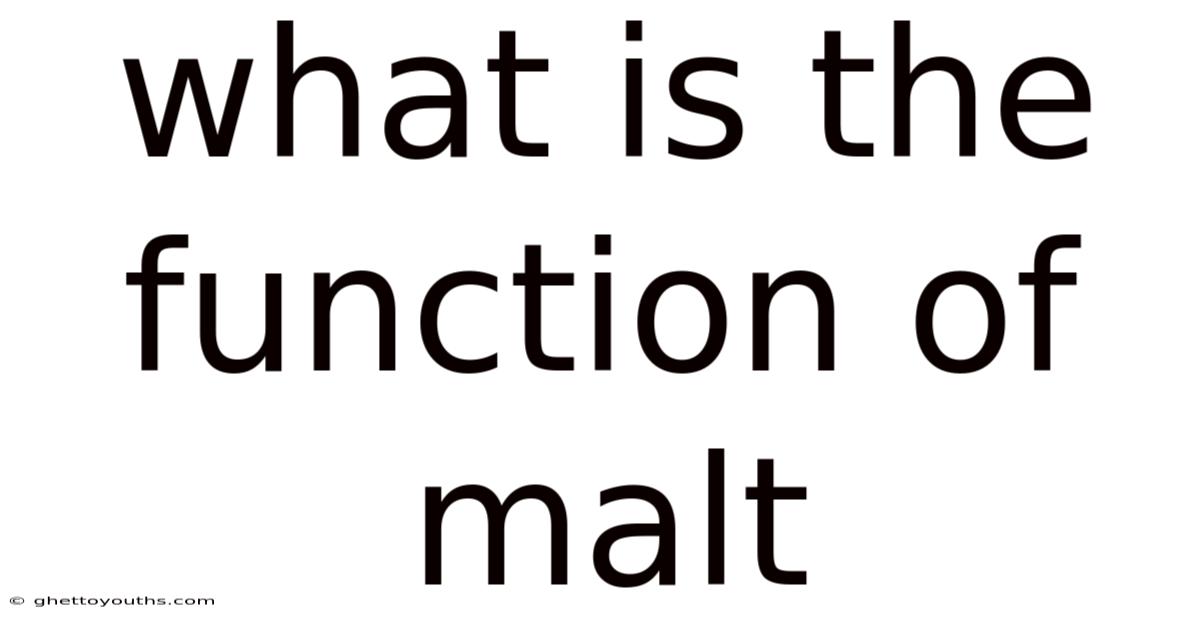 What Is The Function Of Malt